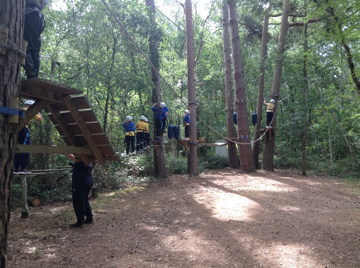 Wild Pines Park